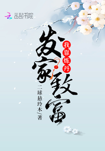 我靠炼丹发家致富txt