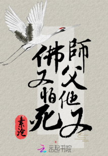 师父她又老又丑晋江