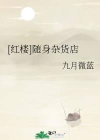 类似 红楼 随身杂货店的小说