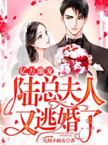 亿万宠婚陆少别来无恙免费阅读