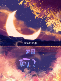 梦因小说