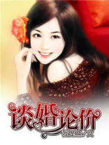 谈婚论价 小说完整版