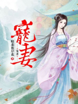 宠妻有度免费全文阅读