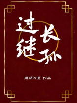 过继长孙全文免费阅读无弹窗