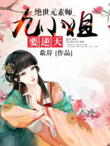 绝世元素师九小姐要逆天