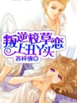 叛逆少女暗恋校草