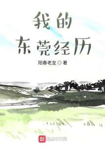 我的东莞经历 阳春老龙