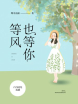 等风也等你小说八斤蜜柑免费阅读