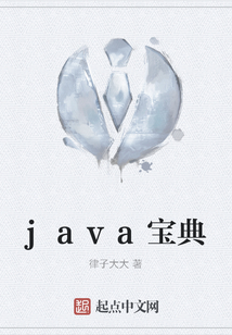 java宝典