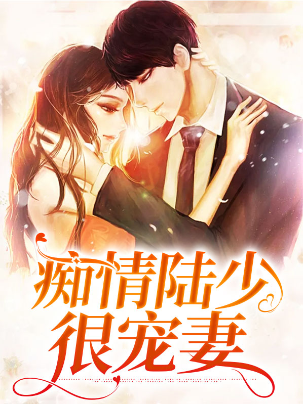 陆少 婚久情深小说全集免费