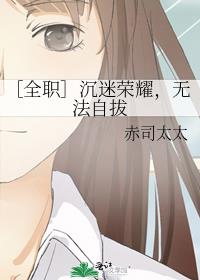 沉迷荣耀无法自拔 小说