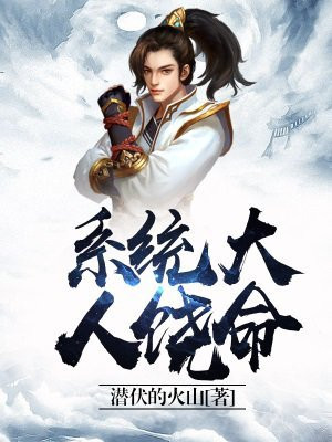 系统大人饶命