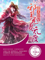 逆天狂妃:邪王宠妻无度TXT下载