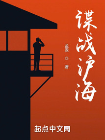 谍战沪海小说