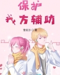 保护我方辅助