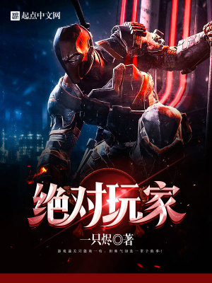 绝对玩家小说