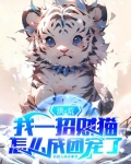 洪荒之招财猫小说