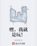 嘿，我就是玩！