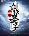 史上最强圣子