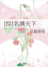 [综]名满天下无防盗