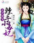 帝君盛宠：辣手小毒妃