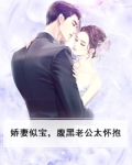 娇妻似宝,腹黑老公太怀抱