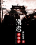 隋唐异闻录