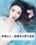 娇妻至上：隐婚老公霸气宠爱