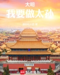 大明：我要做太孙