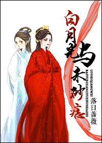 白月光与朱砂痣葫芦丝歌谱