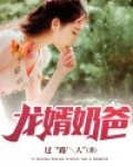 龙婿奶爸