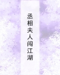 丞相夫人闯江湖