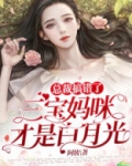 总裁搞错了：三宝妈咪才是白月光