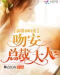 新婚1001夜:吻安,总裁大人