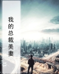 我的总裁美妻