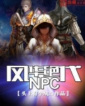 风华绝代NPC