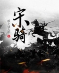 宋骑