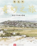 陆远的奇妙之旅