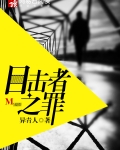 目击者之罪