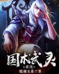 国术武灵系统