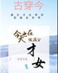 今天也在做满分才女[古穿今]