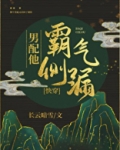 男配他霸气侧漏［快穿］