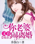 陆总,你老婆又在闹离婚