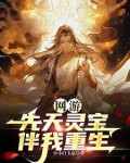 他重生带着先天灵宝,你惹他干嘛免费阅读