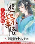 王爷逼嫁，逃妃不奉陪