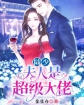 陆少，夫人是超级大佬