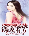 总裁,我们不熟