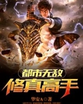 都市无敌修真高手