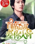首席总裁,爱你入骨