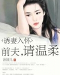 诱妻入怀:前夫,请温柔